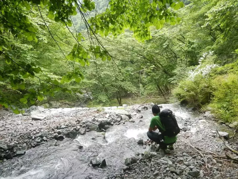 丹沢 鍋割山 沢沿い