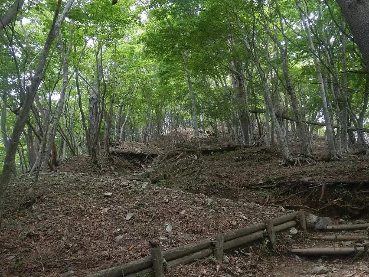 丹沢 鍋割山 山頂までの尾根
