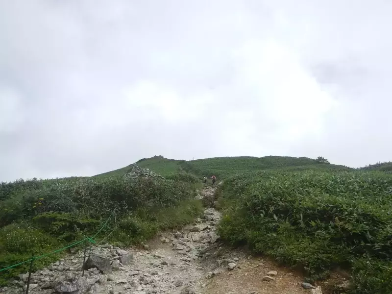新日本百名山 東京 日帰り 谷川岳 登山道