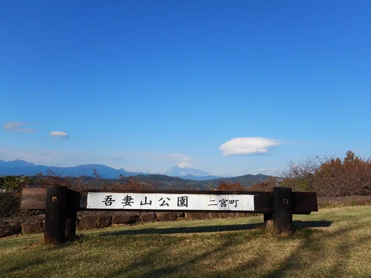 短時間で登れる山【関東甲信越版】-気軽なのに充実した5つの山頂をご紹介