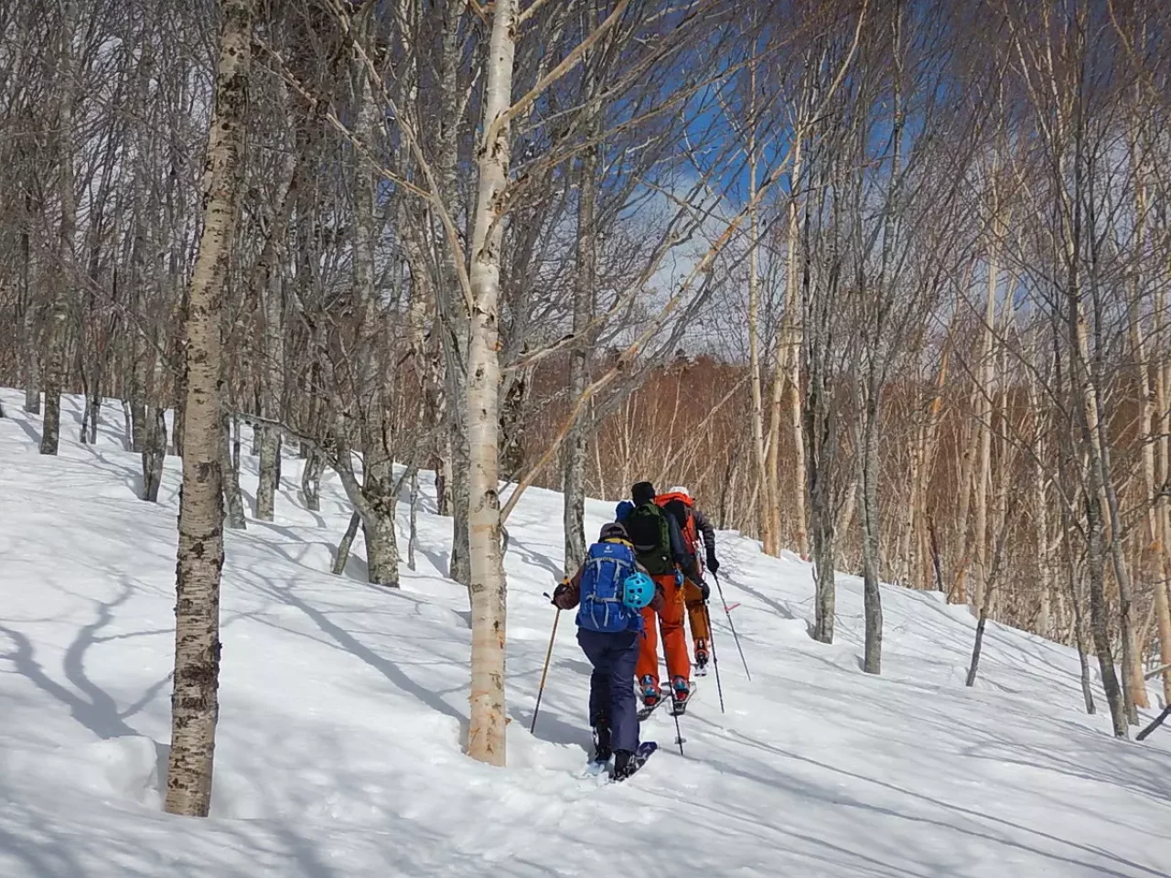 歩くペースは一定