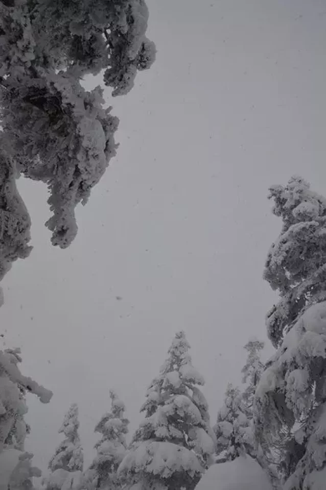 かぐらバックカントリーツアー『森を滑る一日』