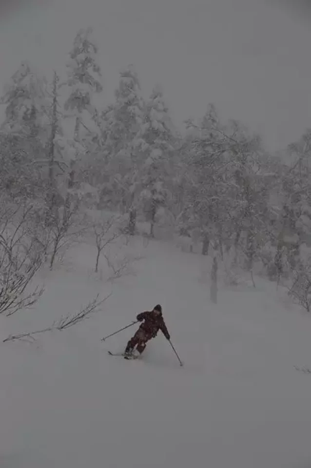かぐらバックカントリーツアー『森を滑る一日』