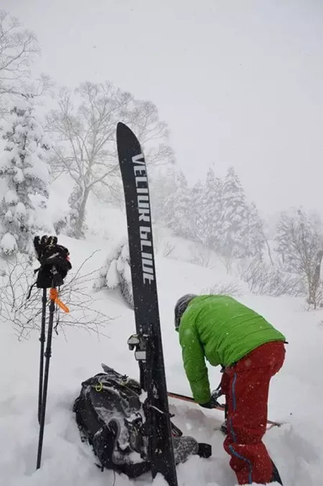 ヴェクターグライド「ジーニアス」