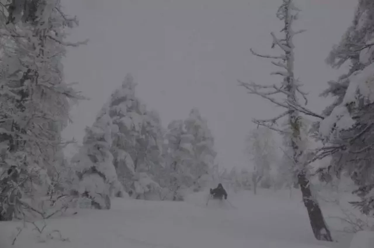 かぐらバックカントリーツアー『森を滑る一日』