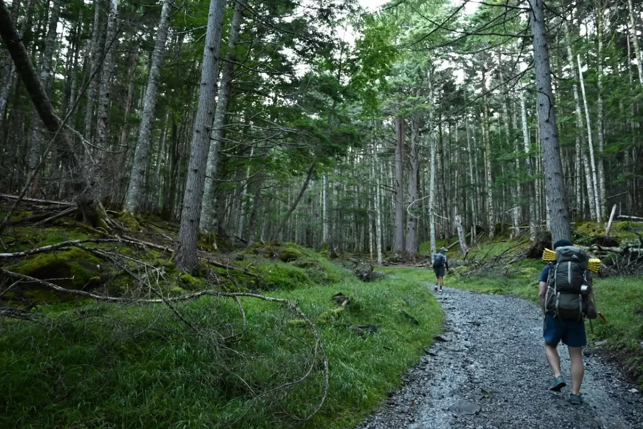 赤岳鉱泉までの登山道