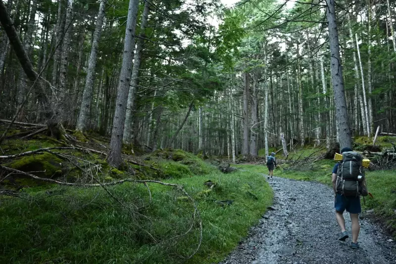 赤岳鉱泉までの登山道