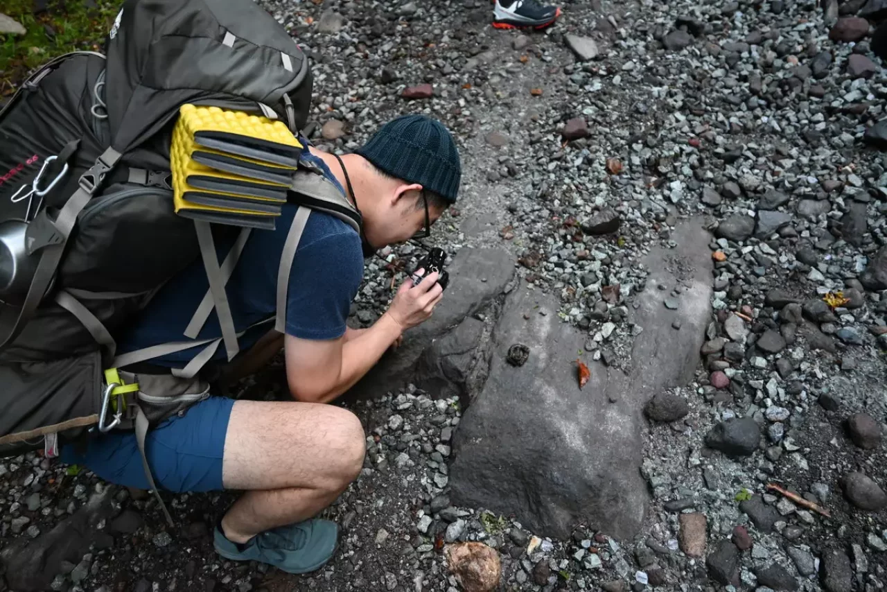 八ヶ岳ならではの苔むした木々