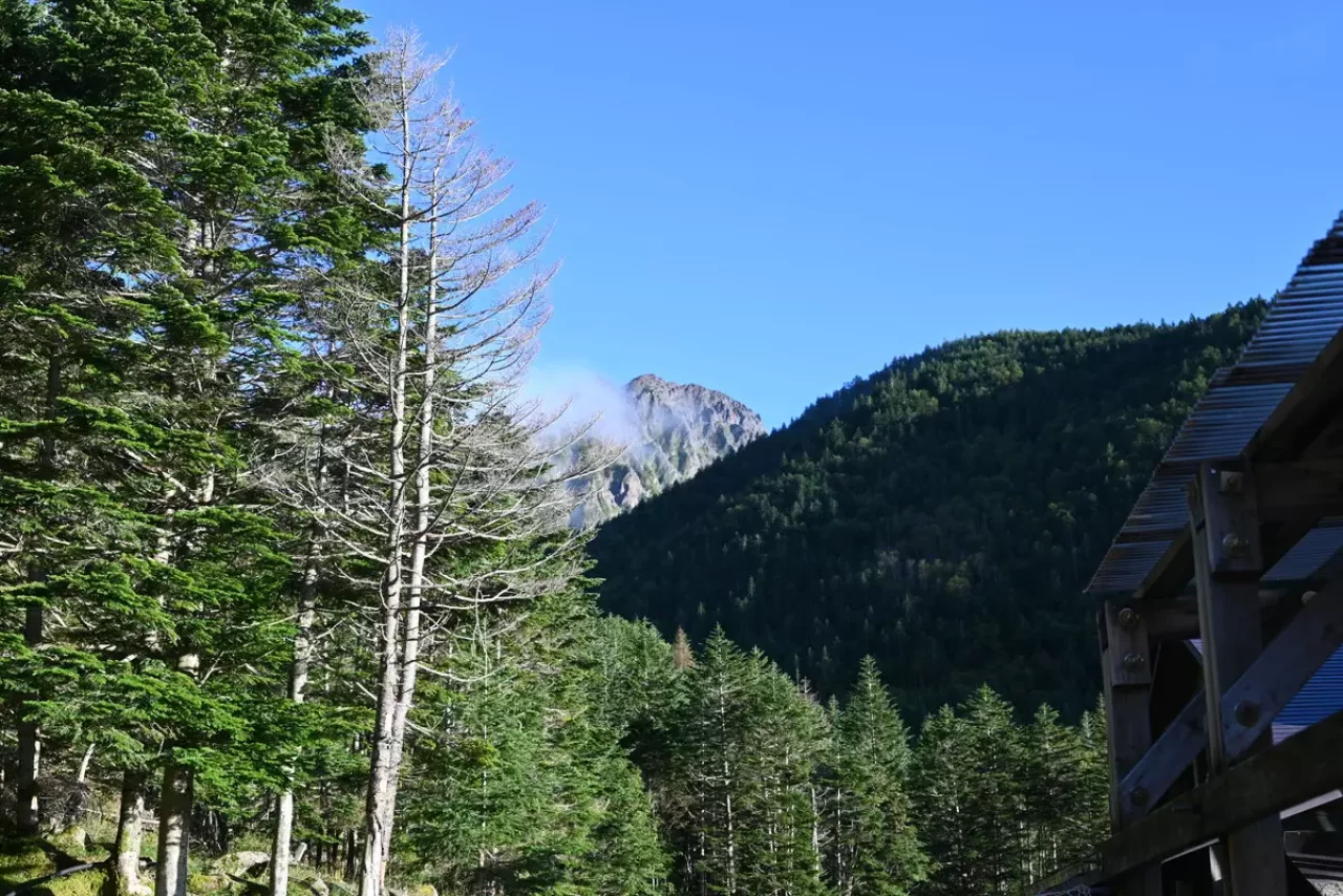阿弥陀岳と思われる山容