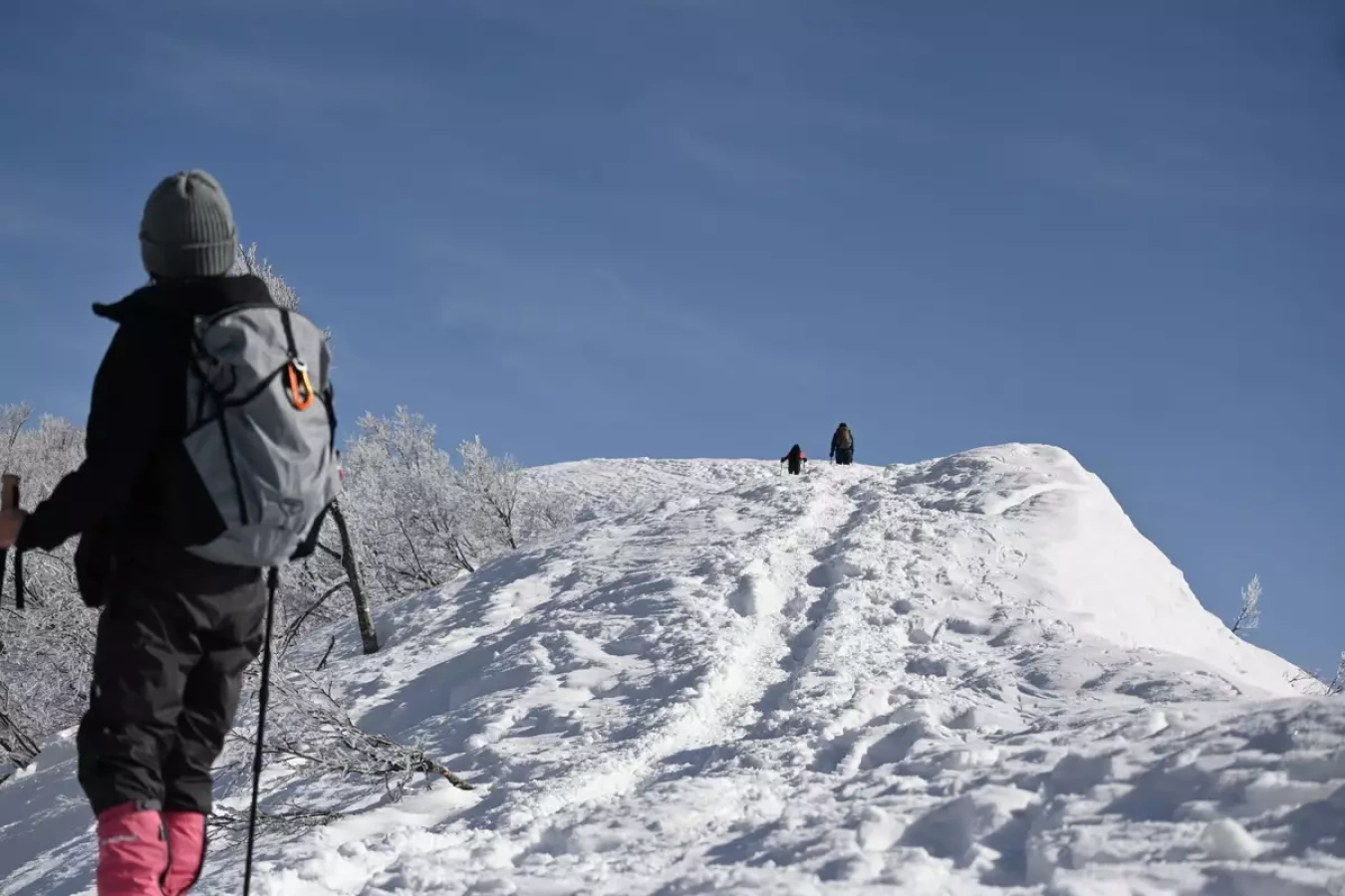 取立山~快晴微風の本格アイゼンデビュー~2023.01.17