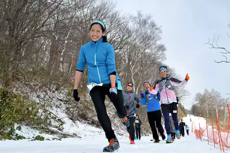 Snow Vertical Down2017