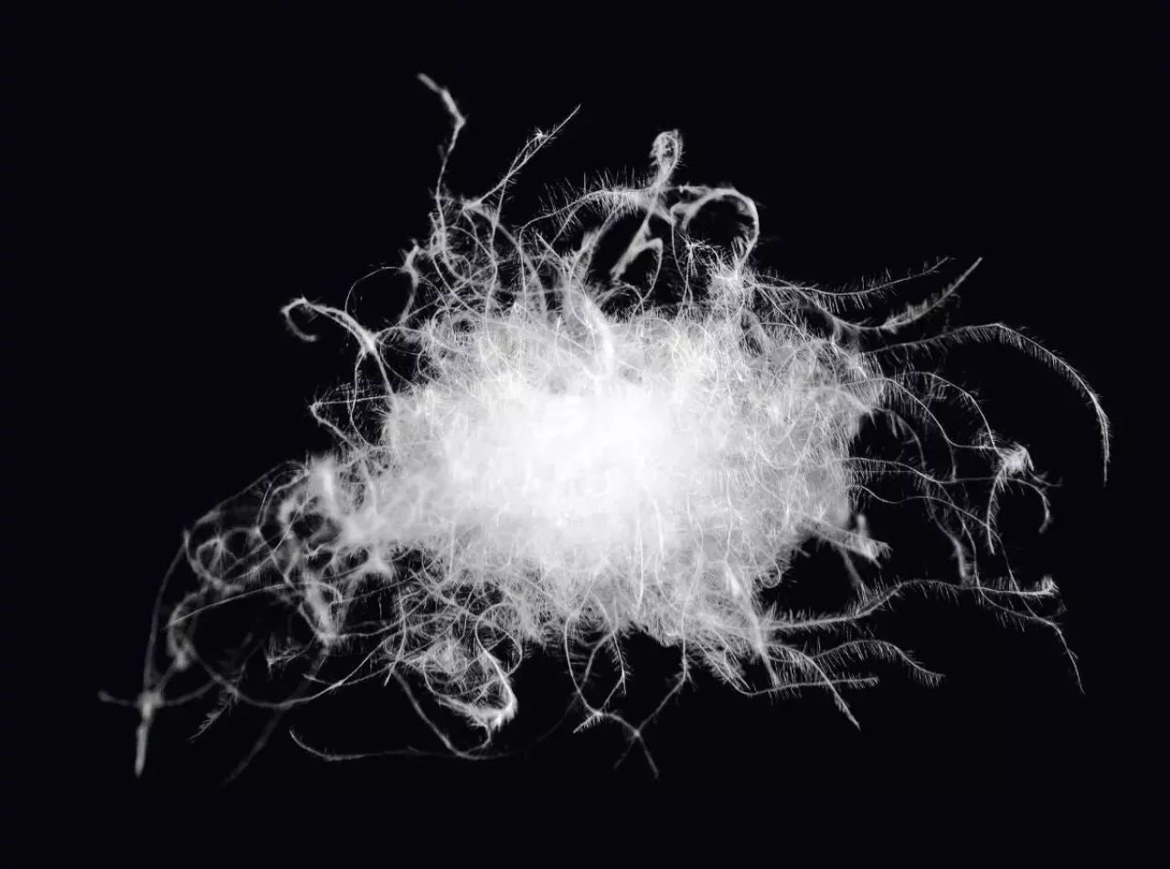 軽量ダウンジャケットを選ぶ際のポイント