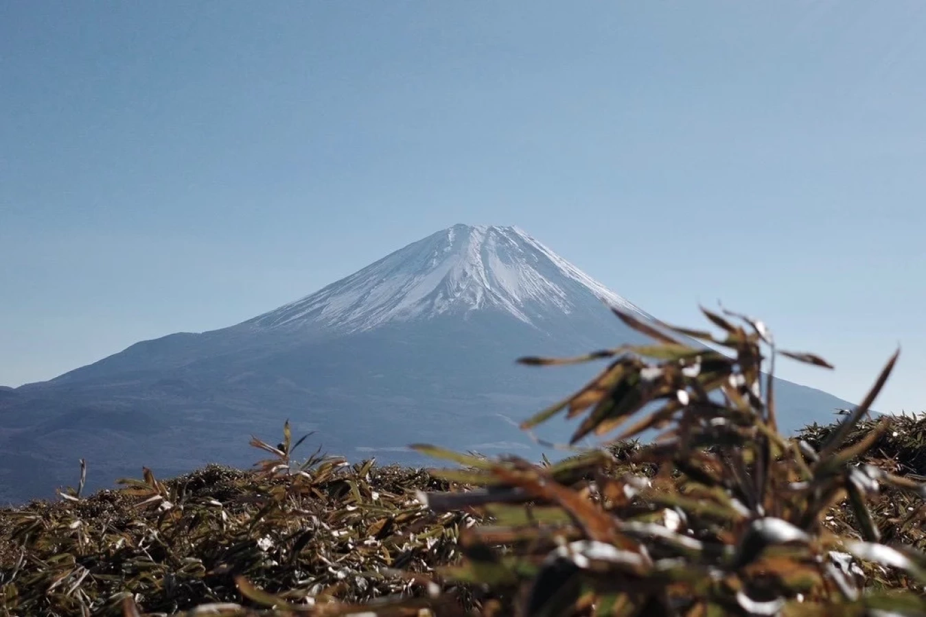 竜ヶ岳 / 1月の富士山