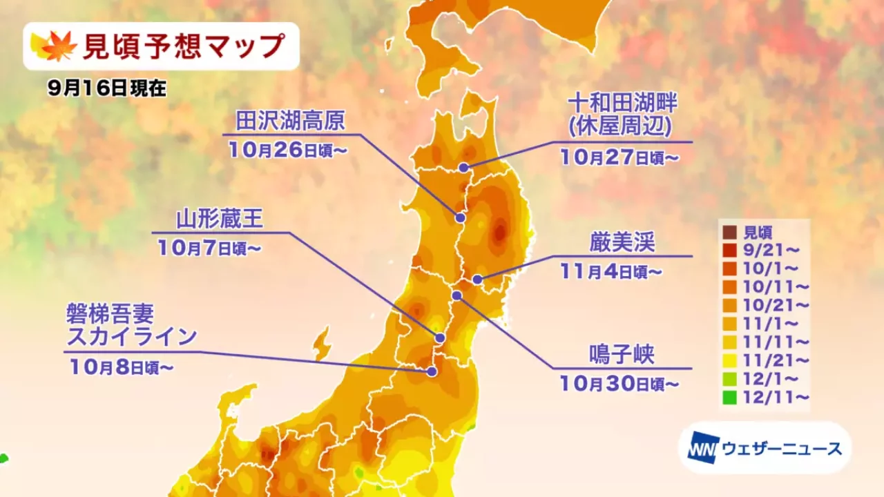 2021年 東北の紅葉