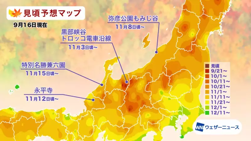 2021年 北陸の紅葉
