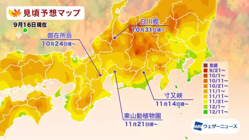 2021年 東海の紅葉