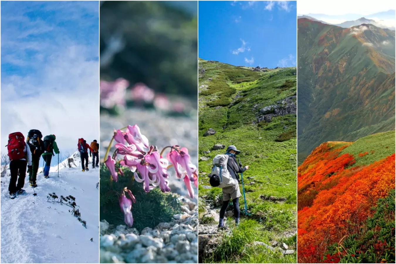 【登山初心者必見】登山適期を知る-山の上の春夏秋冬の期間を学ぶ