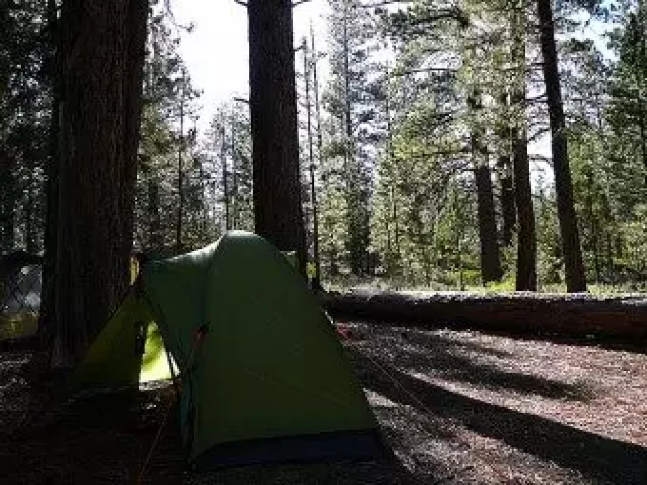 ホーボーズネスト