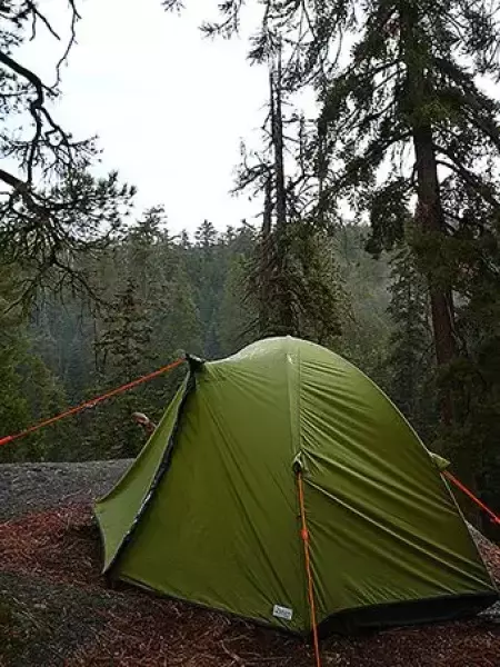 ホーボーズネスト