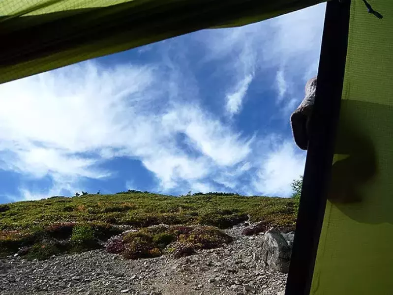 ホーボーズネスト