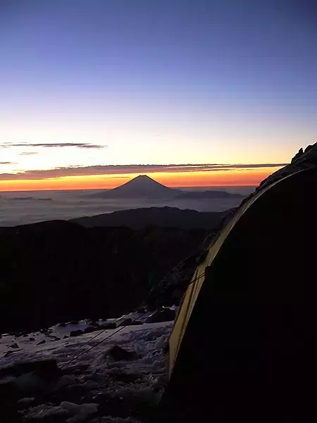 ホーボーズネスト