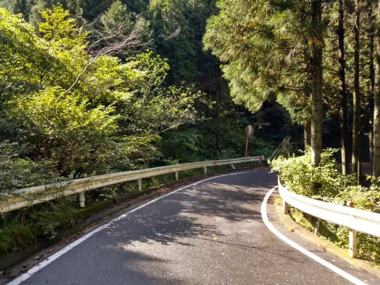丹沢 三ノ塔 県道70号線