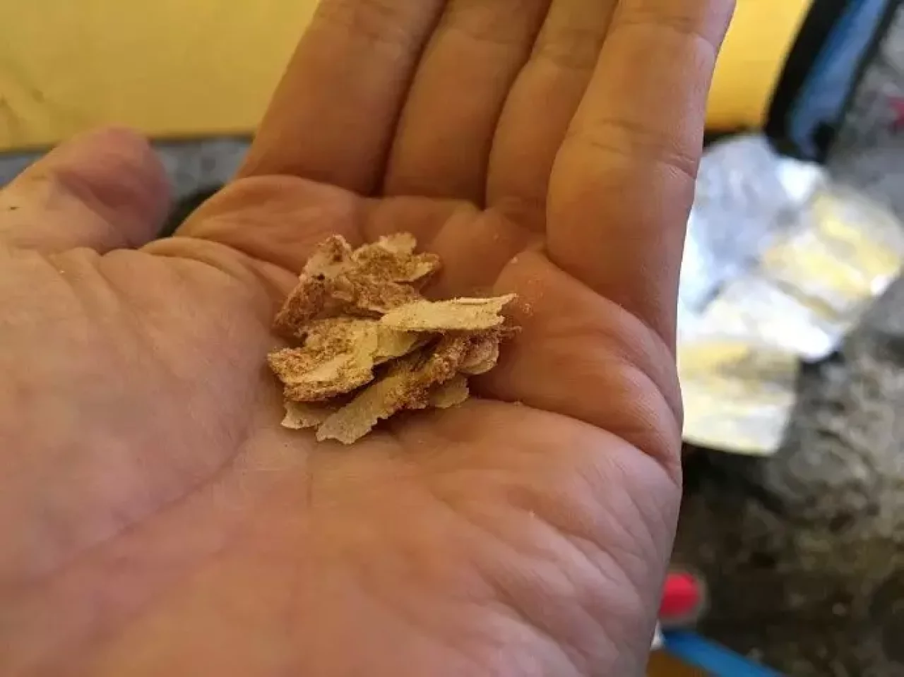 ULTRA LUNCH ビバークレーション