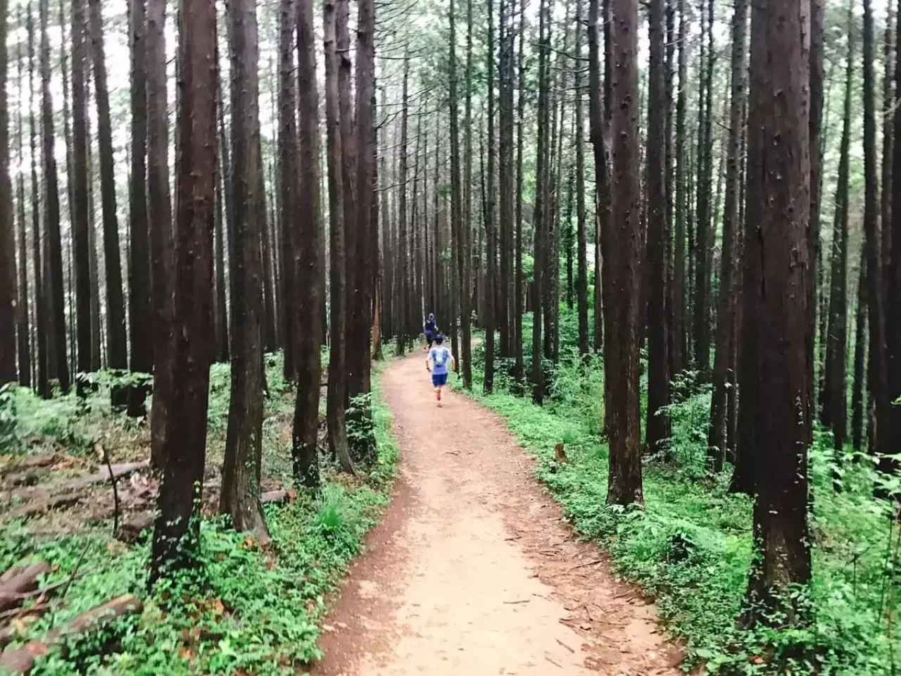 奥武蔵でトレイルラニング