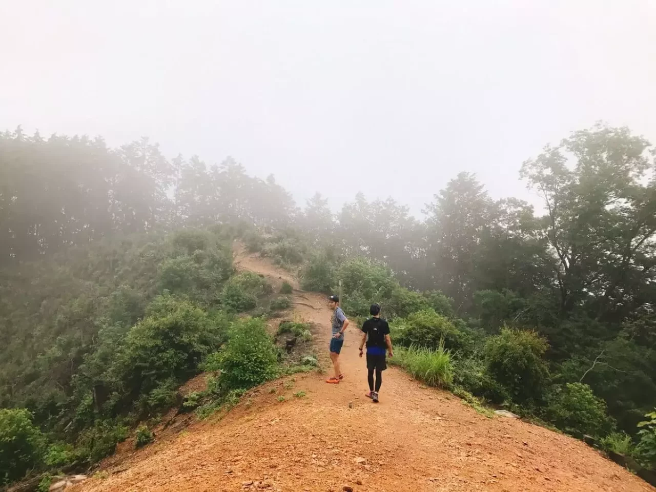 奥武蔵でトレイルラニング