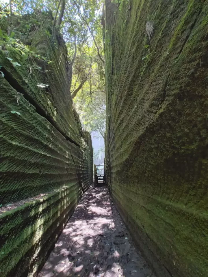 鋸山周辺の観光&グルメスポット&温泉情報