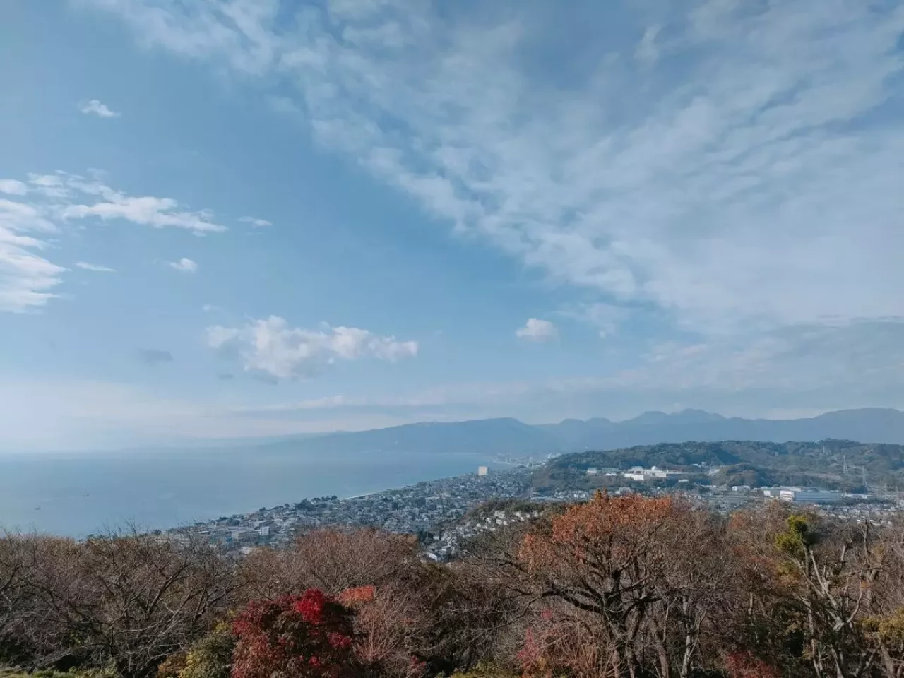 半日 登山 おすすめ 吾妻山 二宮町 眺望