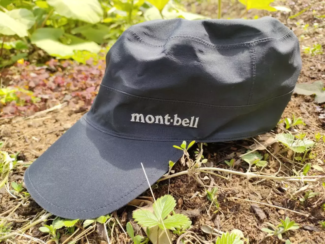 4月 登山 おすすめ 春山