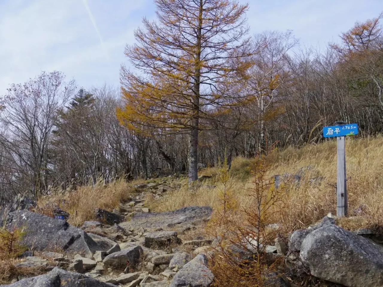 乾徳山 登山 登山道