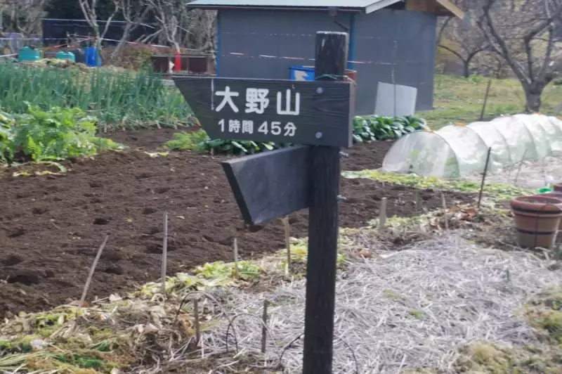 丹沢 大野山 ハイキング 道標