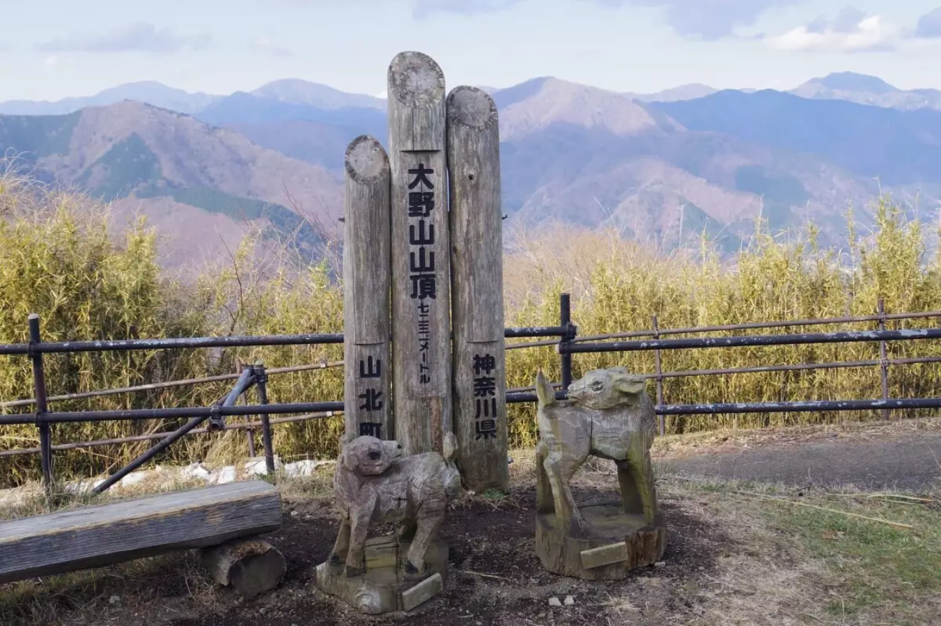 【日帰り登山】丹沢 大野山登山-初心者も楽しめるルート紹介