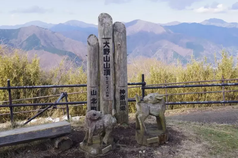 【日帰り登山】丹沢 大野山登山-初心者も楽しめるルート紹介|ルート紹介から探す|登山・トレラン・山スキーマガジン「山旅旅」