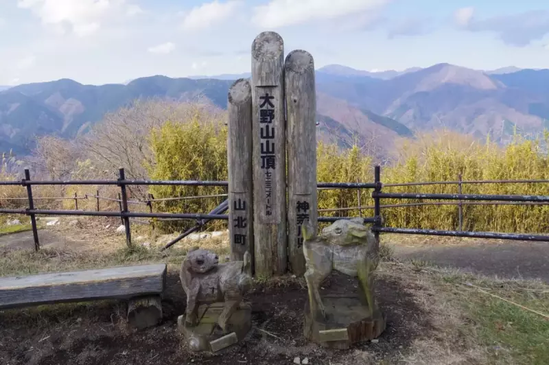 丹沢 大野山 ハイキング 山頂