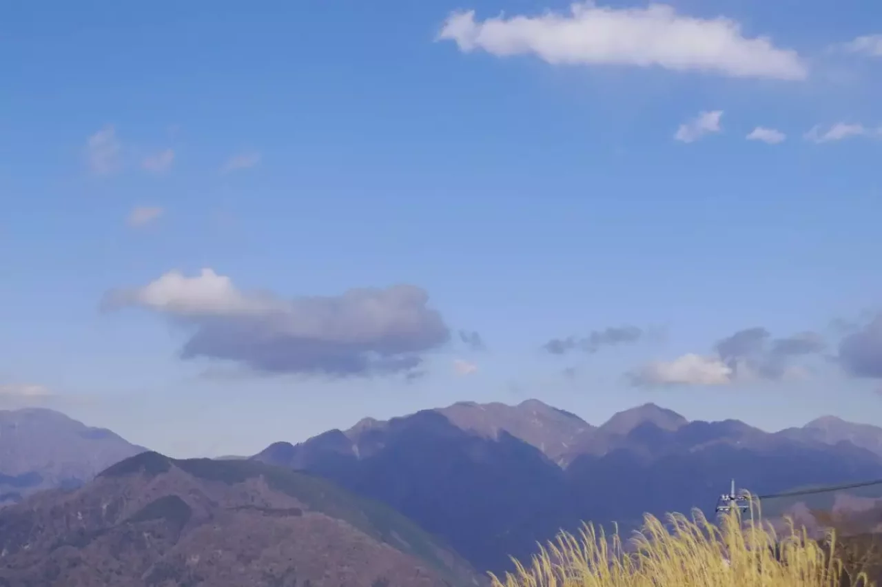 丹沢 大野山 ハイキング 丹沢主脈