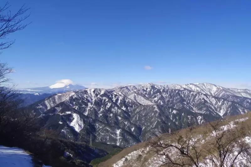 大山 登山 おすすめ 冬の丹沢