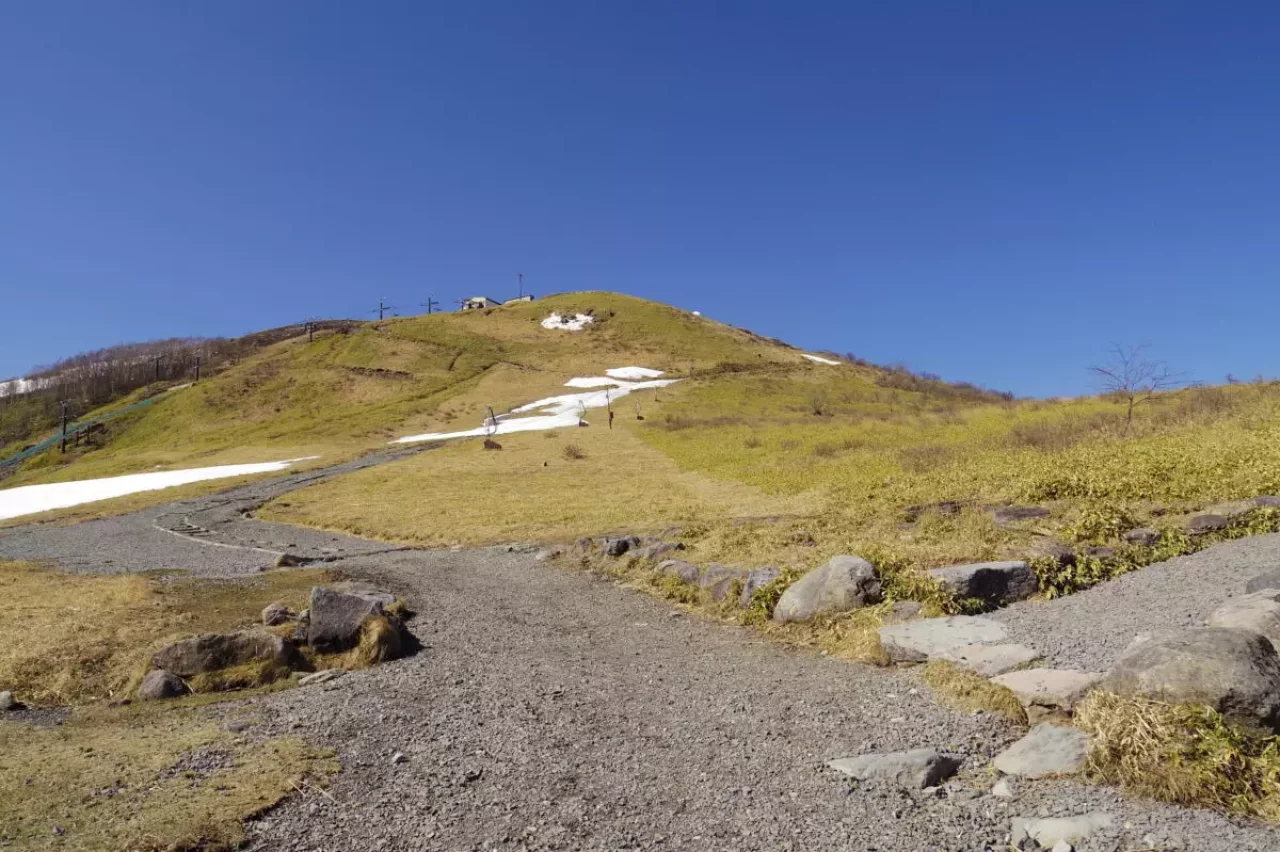 新日本百名山 東京 日帰り 車山 登山道