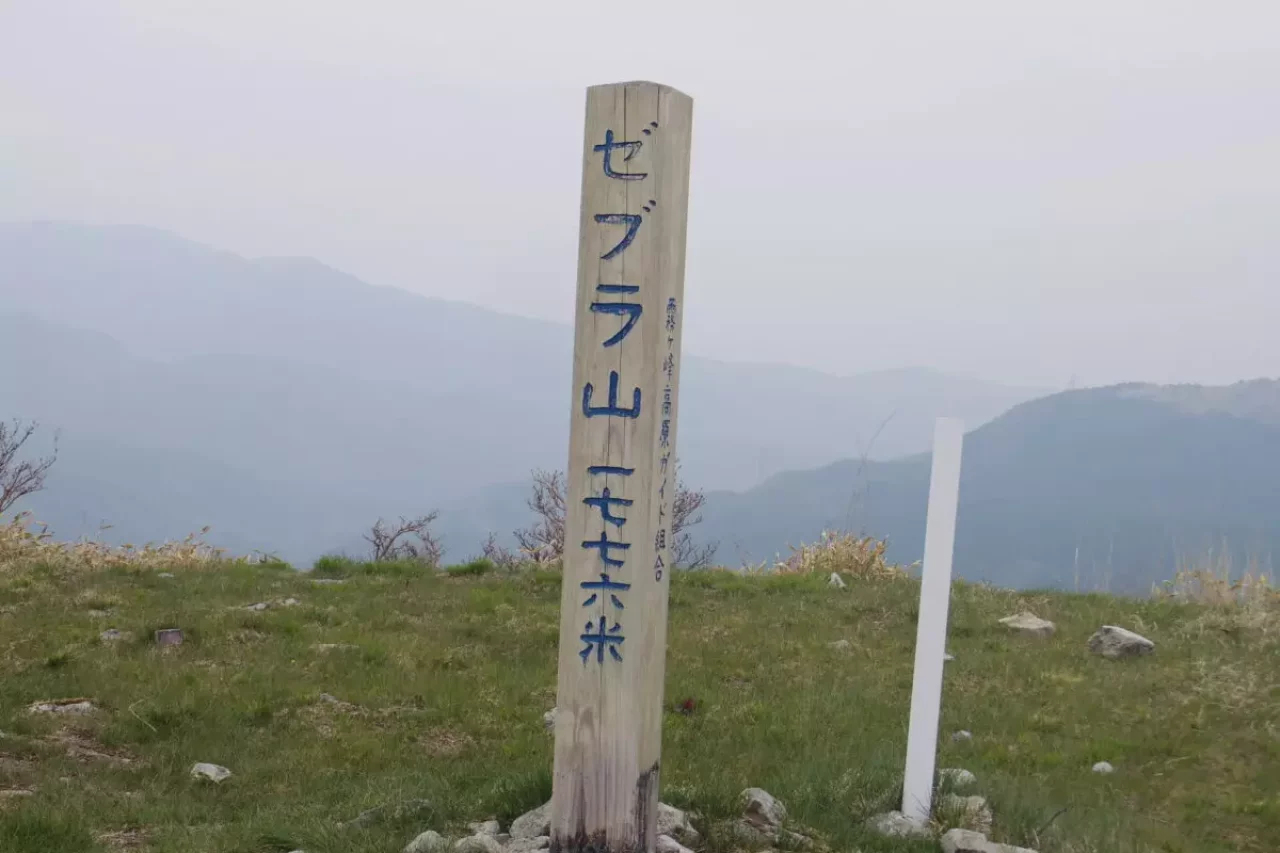 霧ヶ峰 登山 ゼブラ山
