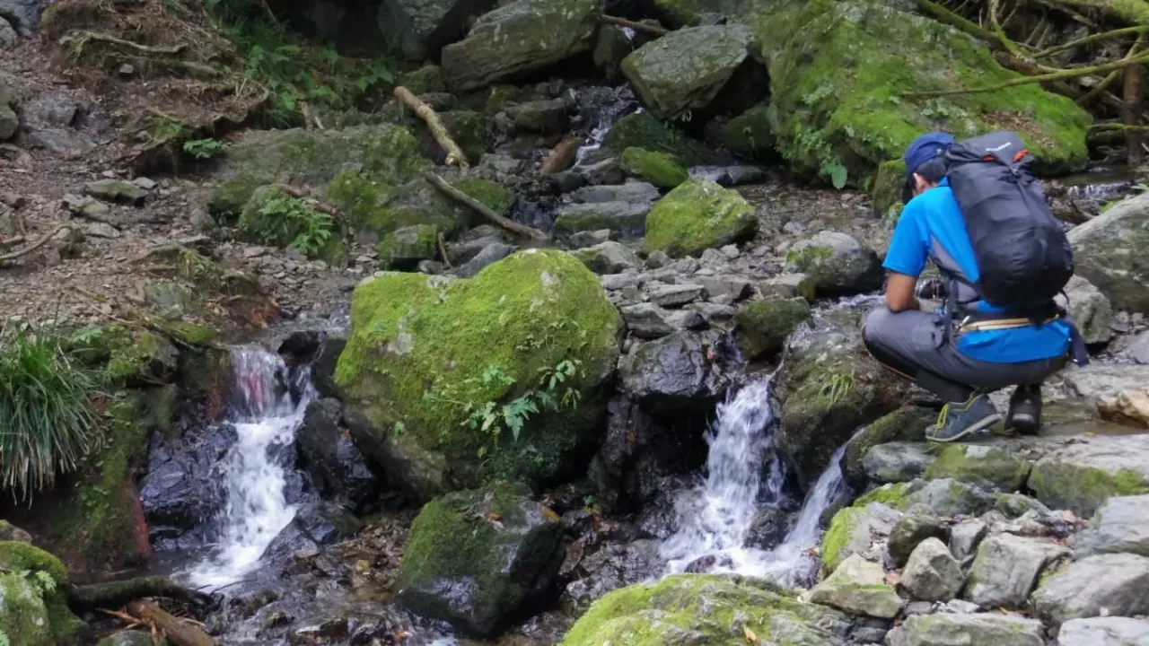 棒ノ折山 登山 登山道