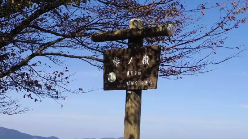 棒ノ折山 登山 山頂
