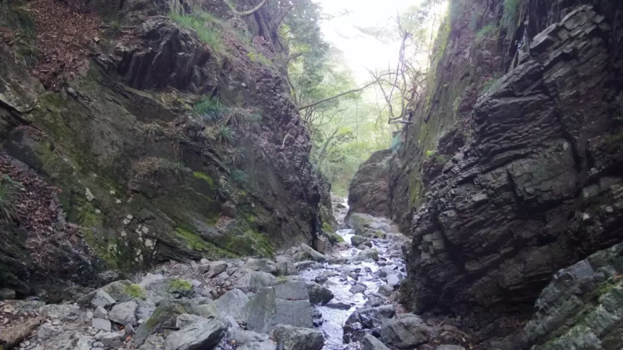 棒ノ折山 登山 登山道