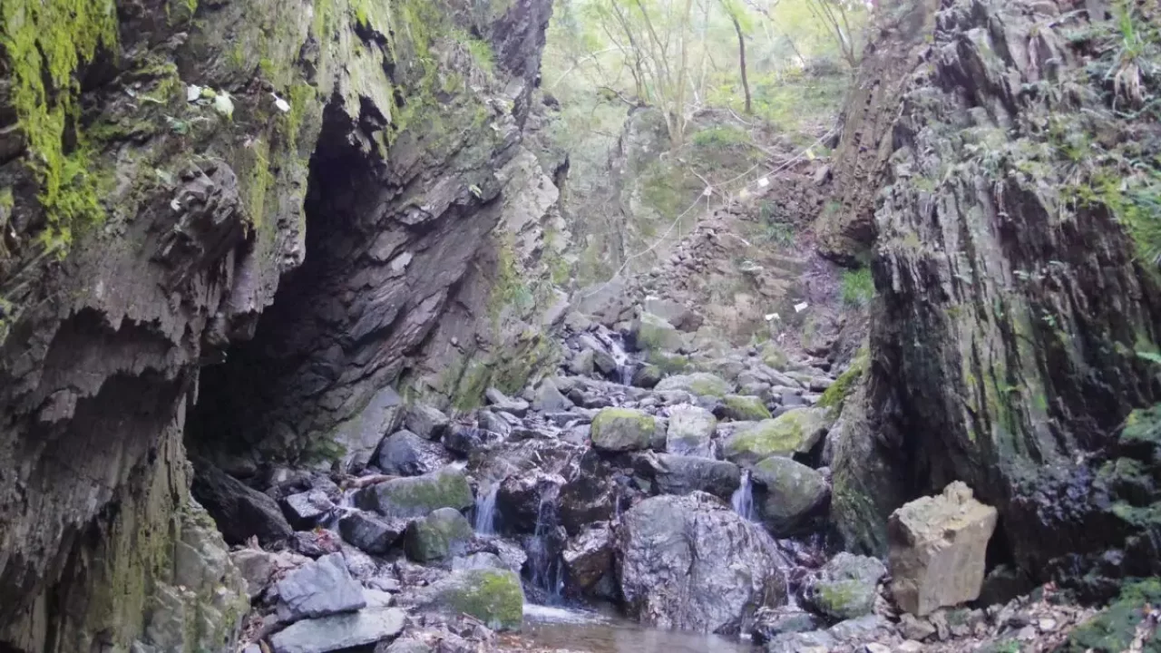 棒ノ折山 登山 登山道