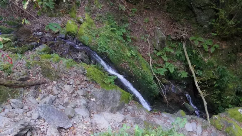 棒ノ折山 登山 登山道