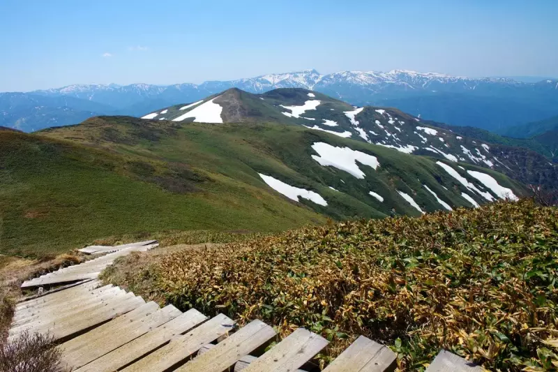 【残雪と新緑を堪能】テント泊でゆっくり訪ねる初夏の平標山|登山レポート|レポート|山のコト|登山・トレラン・山スキーマガジン「山旅旅」