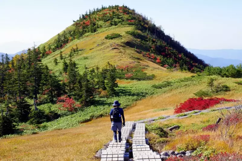 日帰り登山もおすすめ!苗場山登山の難易度別ルートを初心者にもわかりやすく解説|ルート紹介から探す|登山・トレラン・山スキーマガジン「山旅旅」