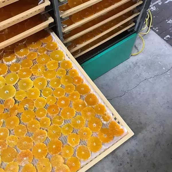 FROM FARM 和歌山の果物