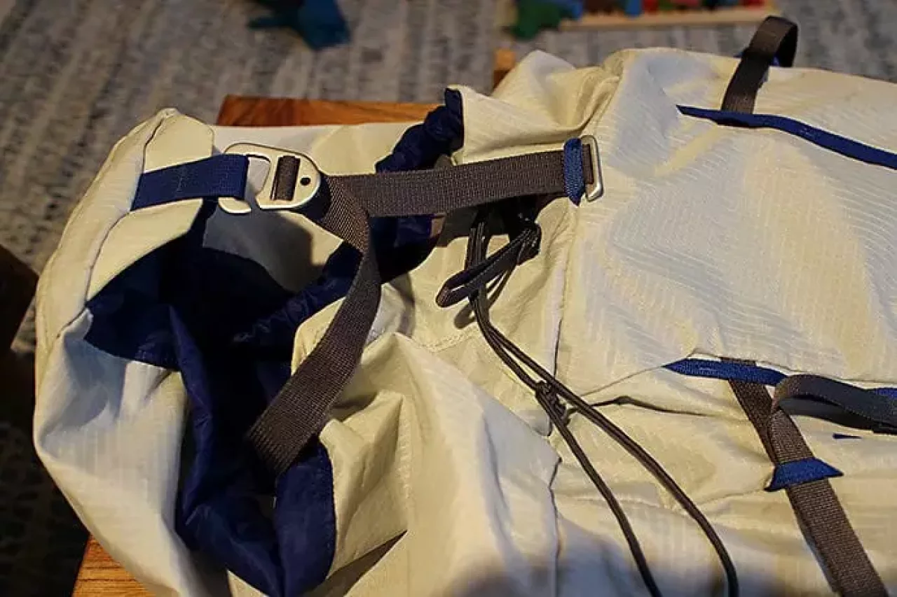 パタゴニアのバックパック「アセンジョニスト」